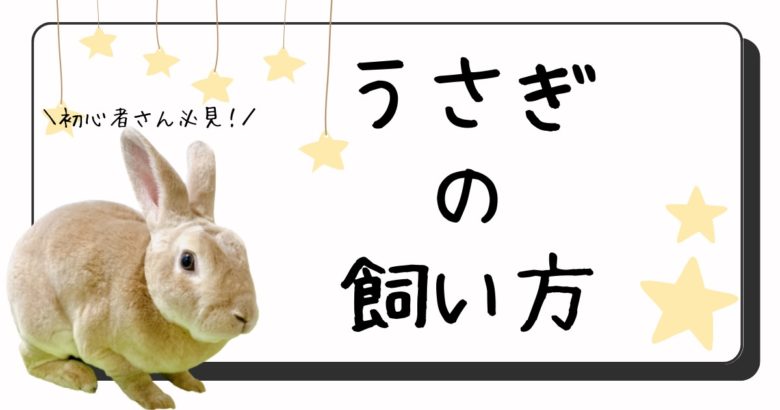 うさぎ ケージ お世話セット おまけ付き とどい 